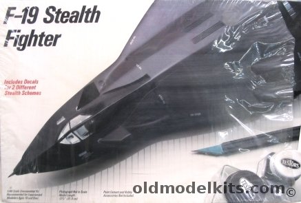 Testors 1/48 F-19 Stealth Concept Fighter - Bagged, 595 plastic model kit